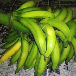 1 Bunch of Fresh Plantain