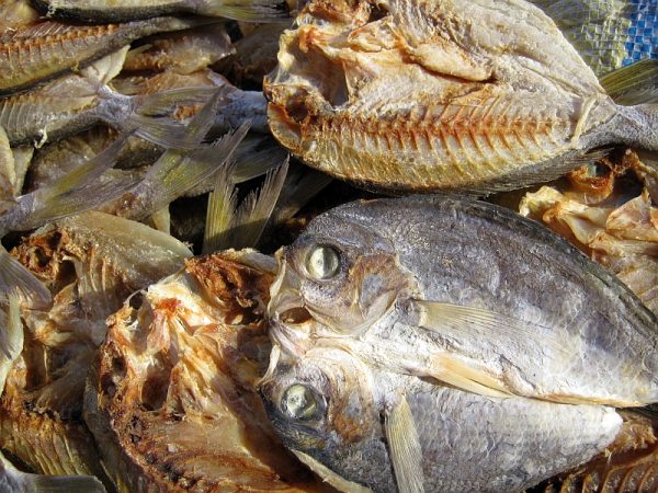 Dry Fish