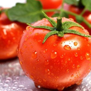 Fresh Tomatoes